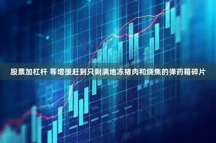 股票加杠杆 等增援赶到只剩满地冻猪肉和烧焦的弹药箱碎片